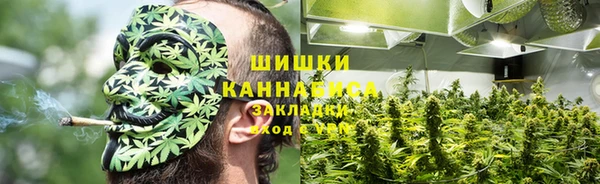 прущий лед Белокуриха